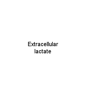 Extracellular lactate